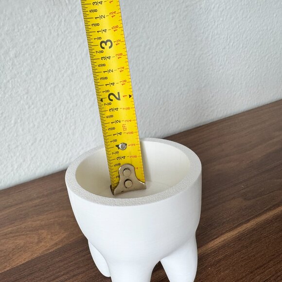 3D Printed Tooth Succulent Pot – Minimalist White Planter, Dental Decor - Picture 5 of 5